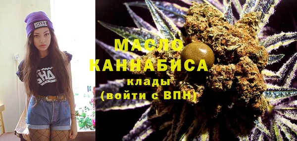 молекула духа Надым