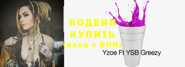 молекула духа Надым