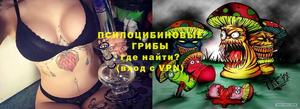 дживик Абаза