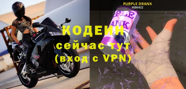 дживик Абаза